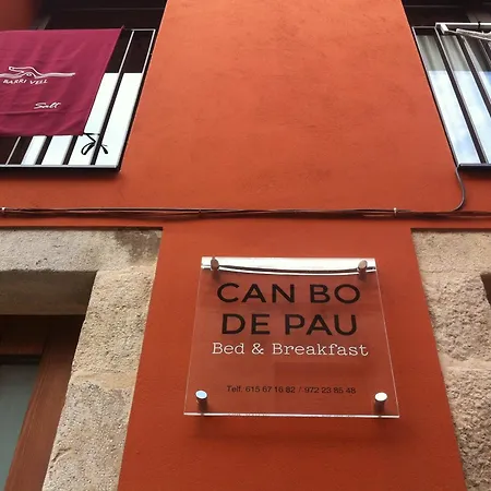 Otel Bo De Pau Salt